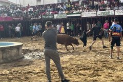 IMG_0366-Mediana