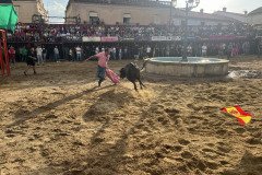 IMG_0367-Mediana