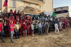IMG_0370-Mediana