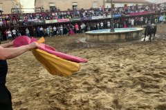 IMG_0375-Mediana