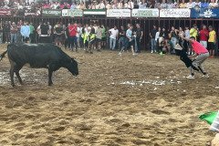 IMG_0376-Mediana