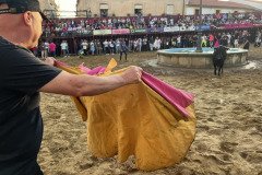 IMG_0378-Mediana