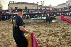 IMG_0381-Mediana