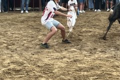 IMG_0382-Mediana