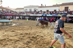 IMG_0384-Mediana