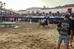 IMG_0385-Mediana