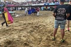IMG_0386-Mediana