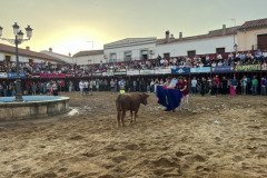 IMG_0387-Mediana