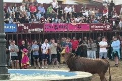 IMG_0393-Mediana