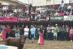 IMG_0394-Mediana