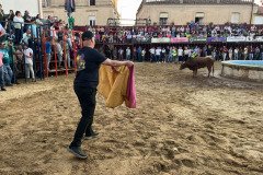 IMG_0406-Mediana