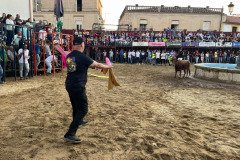 IMG_0408-Mediana