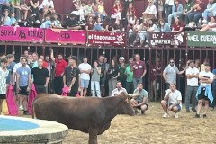 IMG_0412-Mediana