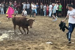 IMG_0413-Mediana