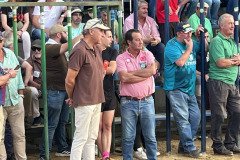 IMG_0414-Mediana
