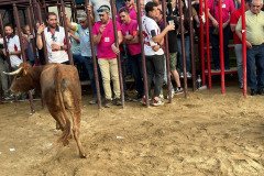 IMG_0422-Mediana