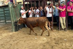 IMG_0423-Mediana
