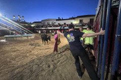 IMG_0435-Mediana