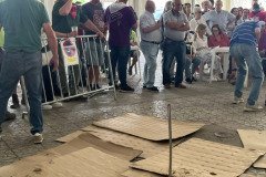 IMG_0475-Mediana