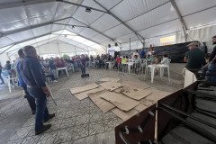 IMG_0489-Mediana