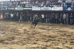 IMG_0492-Mediana