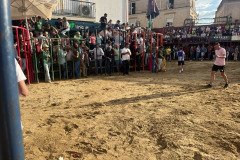 IMG_0494-Mediana