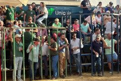 IMG_0495-Mediana