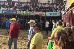 IMG_0497-Mediana