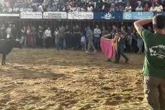IMG_0498-Mediana