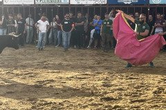 IMG_0500-Mediana