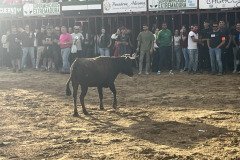 IMG_0501-Mediana