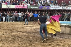 IMG_0508-Mediana