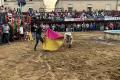IMG_0509-Mediana