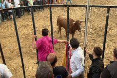 IMG_0512-Mediana