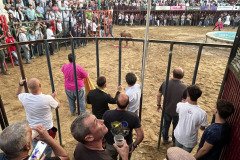 IMG_0513-Mediana