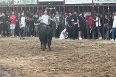 IMG_0529-Mediana