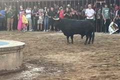 IMG_0530-Mediana