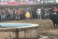 IMG_0531-Mediana