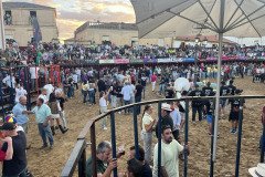 IMG_0532-Mediana