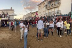 IMG_0536-Mediana