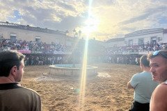 IMG_0542-Mediana