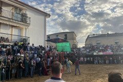IMG_0543-Mediana
