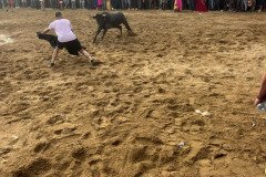 IMG_0548-Mediana