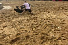IMG_0549-Mediana