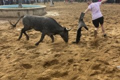 IMG_0552-Mediana
