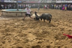 IMG_0553-Mediana