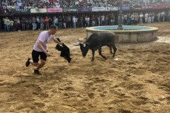 IMG_0554-Mediana