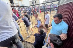 IMG_0557-Mediana