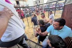 IMG_0558-Mediana