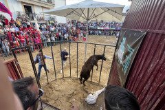 IMG_0562-Mediana